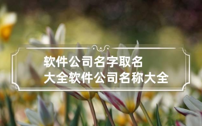 珠海软件公司名叫什么好听易记